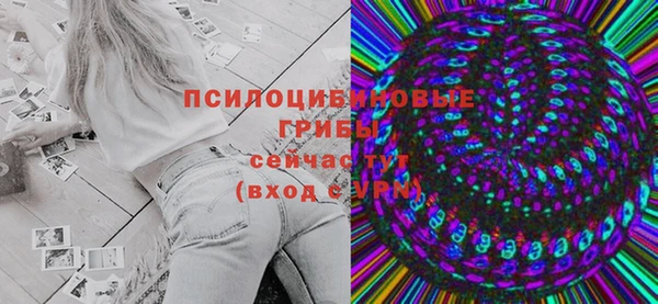 Альфа ПВП Гусев