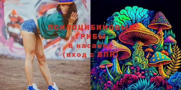 прущая мука Гусь-Хрустальный