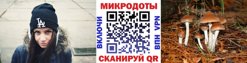 Галлюциногенные грибы ЛСД  Углич 